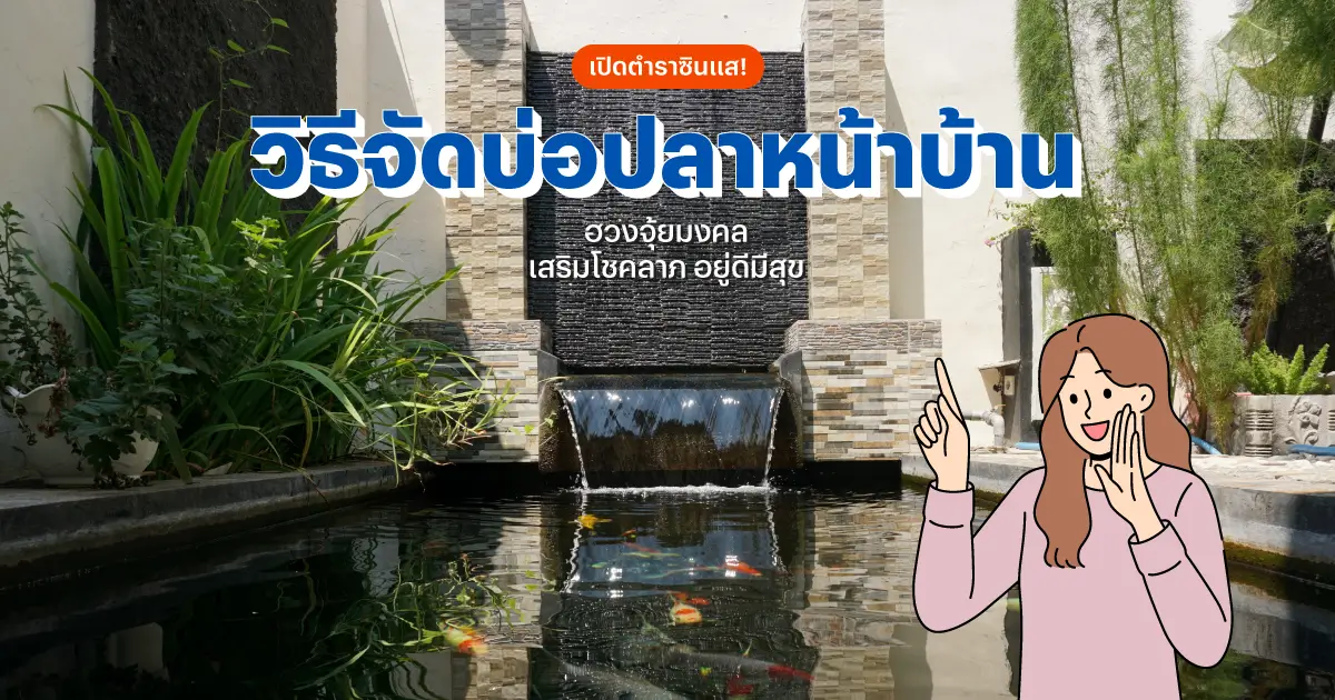 9 วิธีจัดบ่อปลาหน้าบ้าน ฮวงจุ้ยมงคล เสริมโชคลาภ อยู่ดีมีสุข