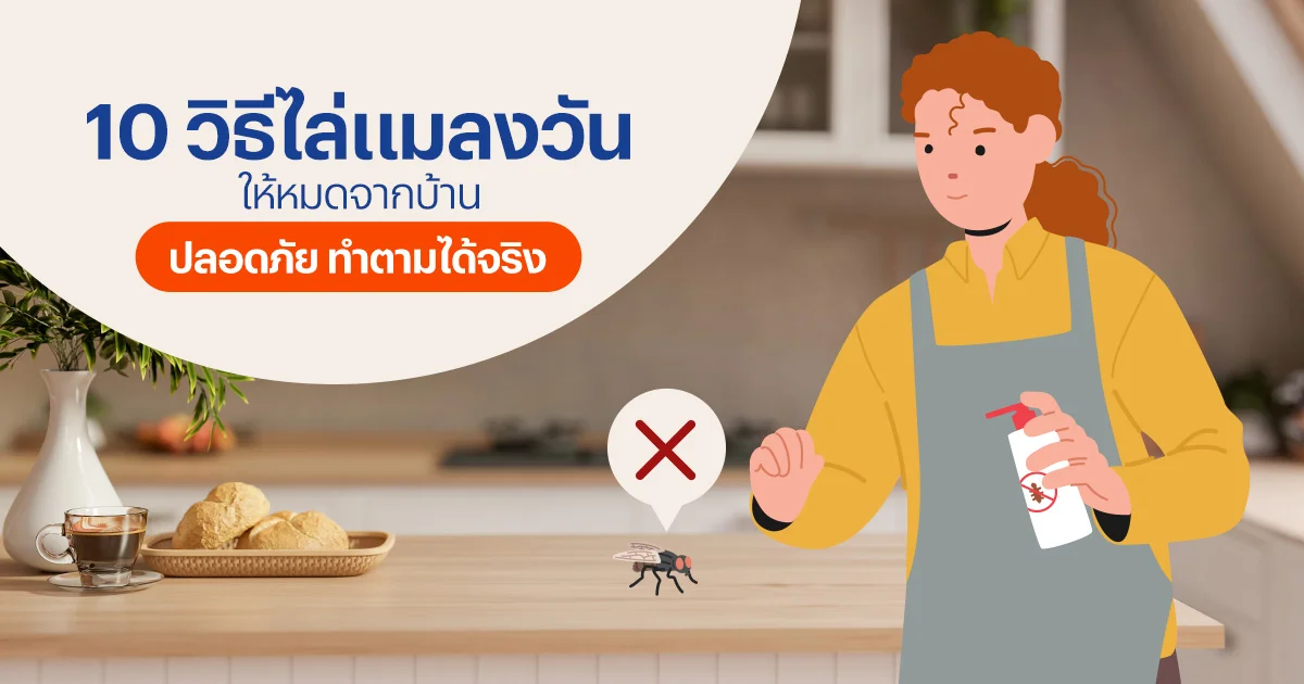 วิธีไล่แมลงวัน