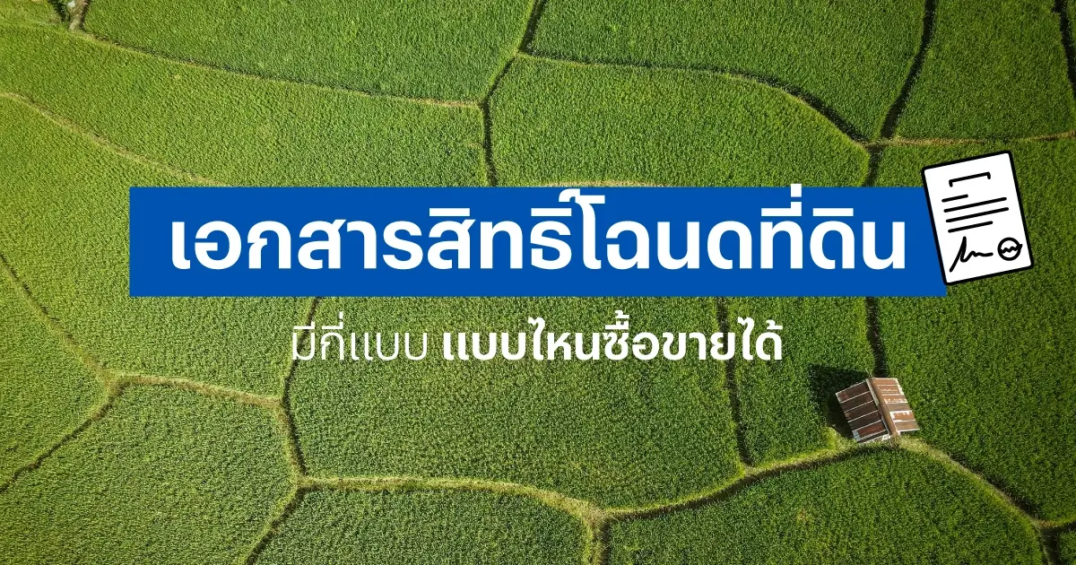 เอกสารสิทธิ์โฉนดที่ดินมีกี่แบบ กี่ประเภท แบบไหนซื้อขายได้ | แสนสิริ